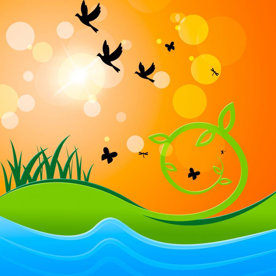 Free Image of Landscape Sun Shows Birds In Flight And Sunlight 