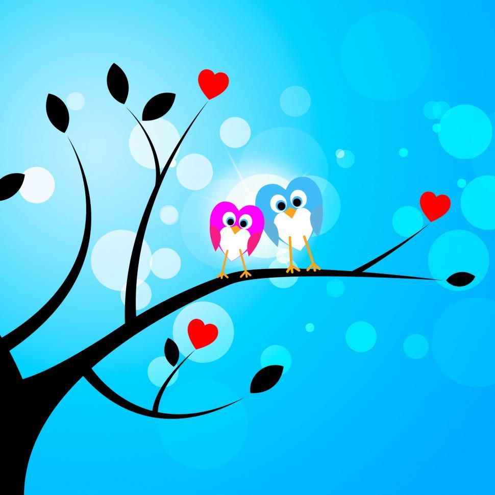Free Image of Tree Owls Represents Valentine s Day And Forest 