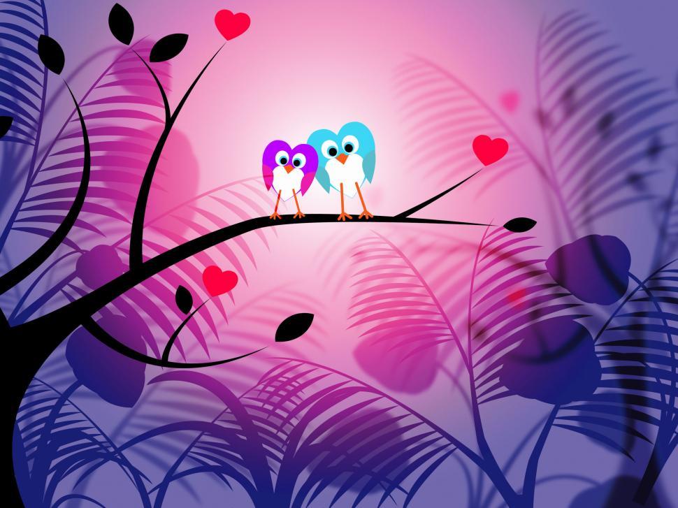 Free Image of Nature Owls Represents Garden Environmental And Environment 