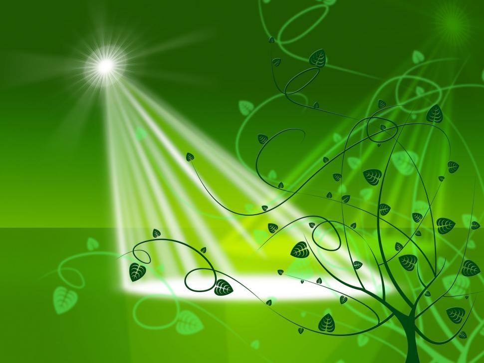 Free Image of Star Spotlight Shows Flowers Stage And Floodlight 