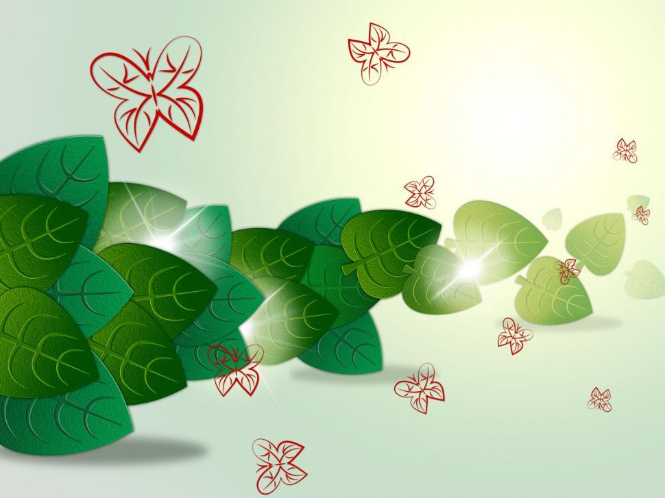 Free Image of Leaves Butterflies Indicates Natural Garden And Foliage 
