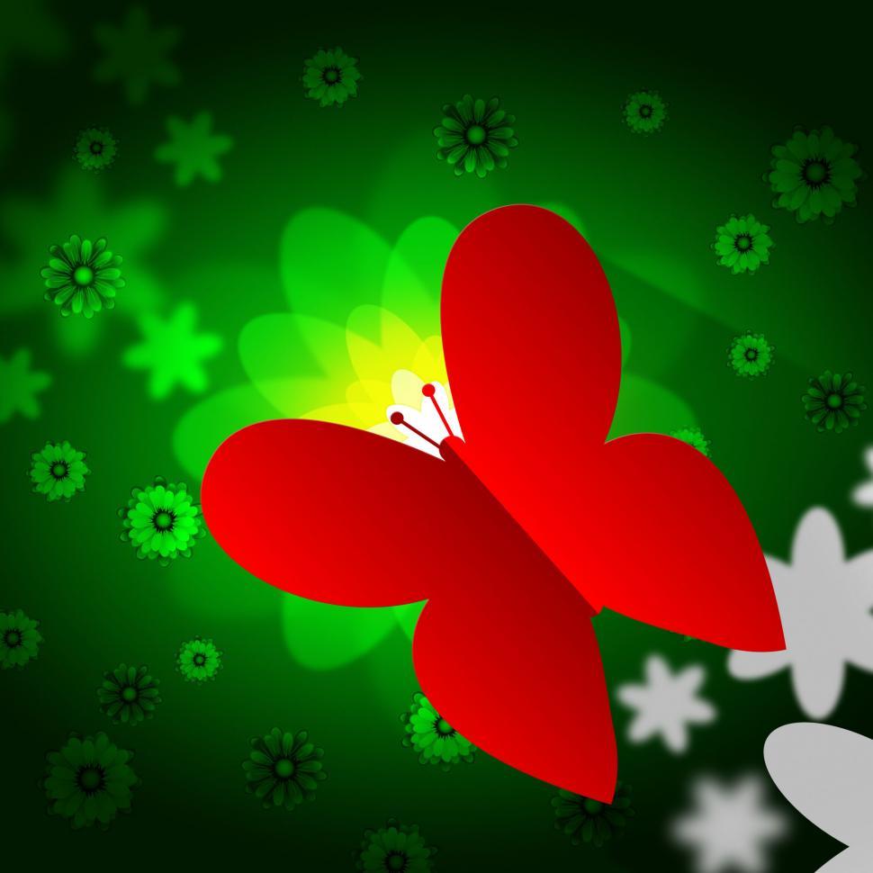 Free Image of Butterflies Nature Means Bouquet Countryside And Flower 