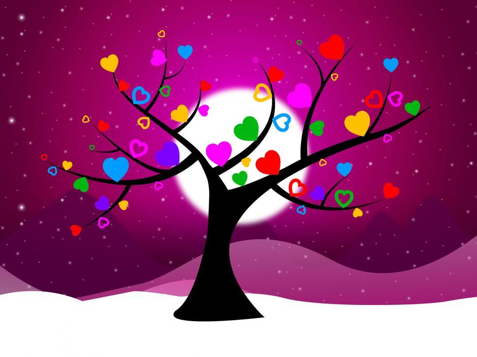 Free Image of Moon Tree Indicates Snow Flakes And Branch 