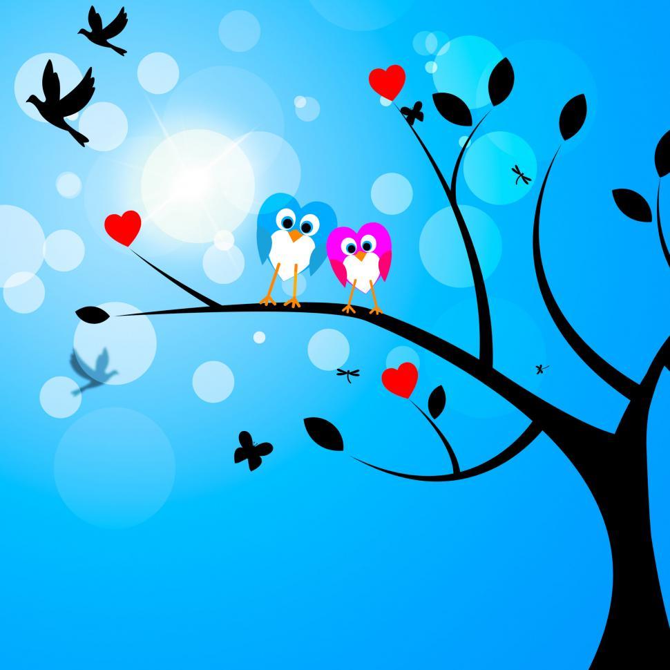 Free Image of Tree Owls Represents Birds In Flight And Reforestation 