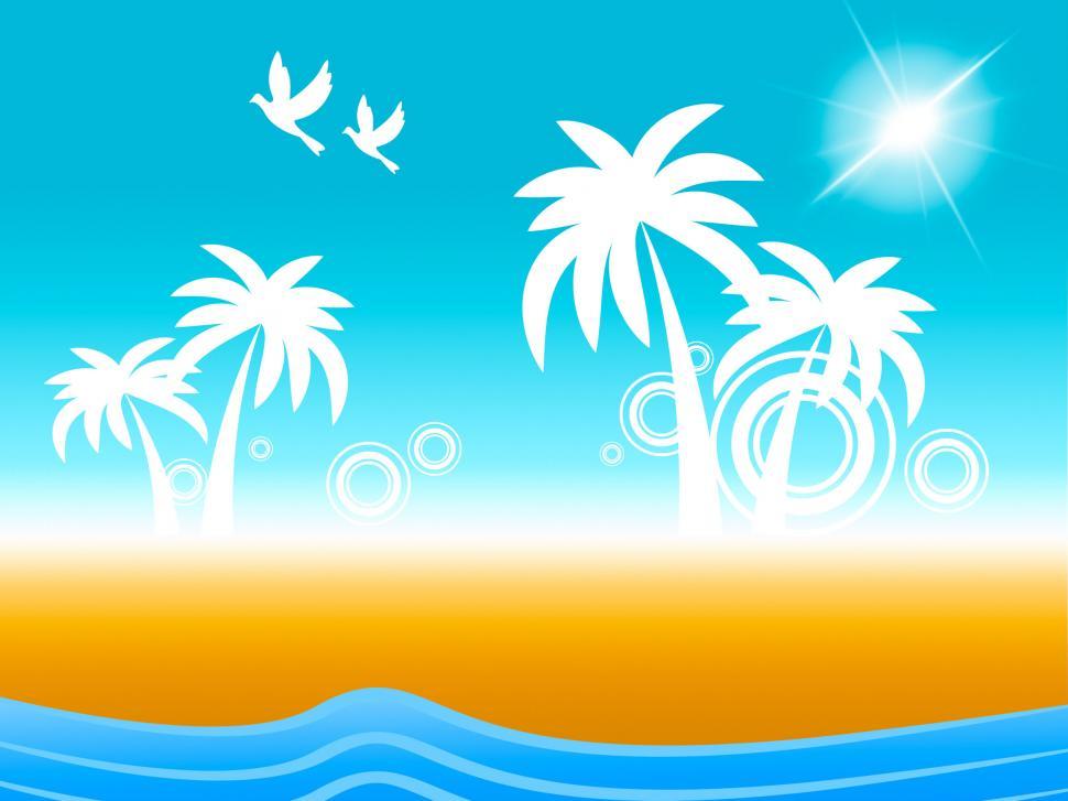 Free Image of Tropical Island Shows Birds In Flight And Coastline 
