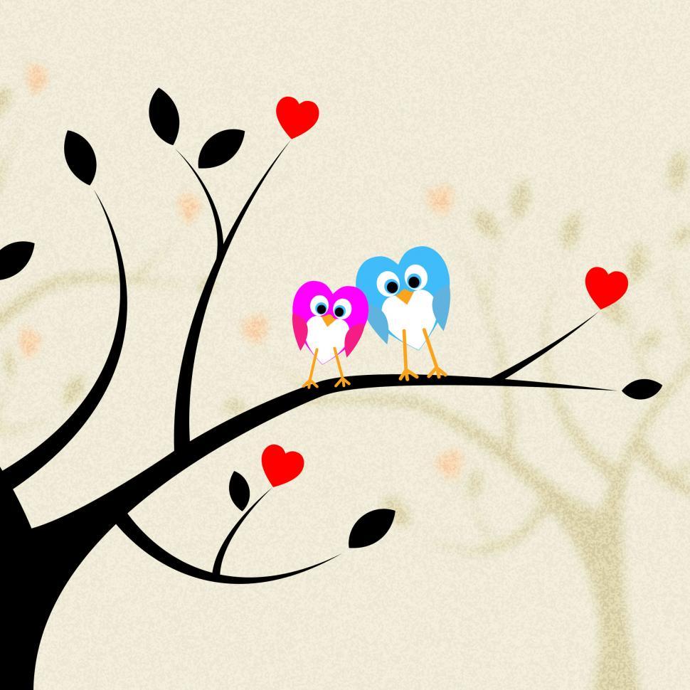 Free Image of Tree Owls Indicates Heart Shapes And Branch 