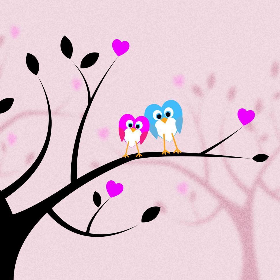 Free Image of Heart Together Means Valentine s Day And Bird 