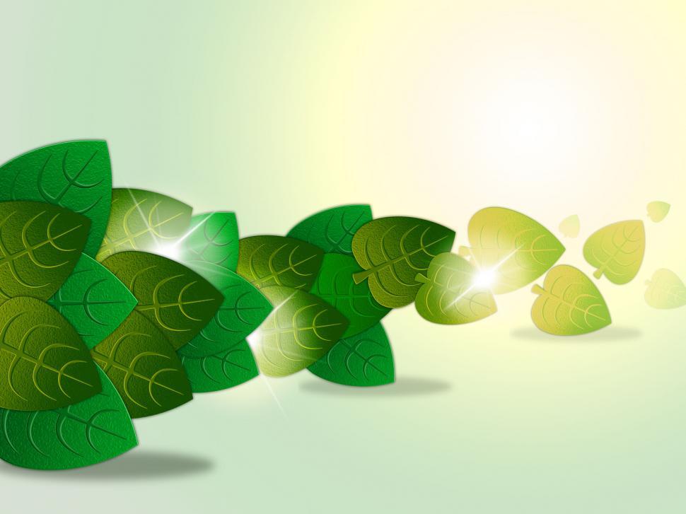 Free Image of Nature Green Represents Garden Outdoors And Foliage 