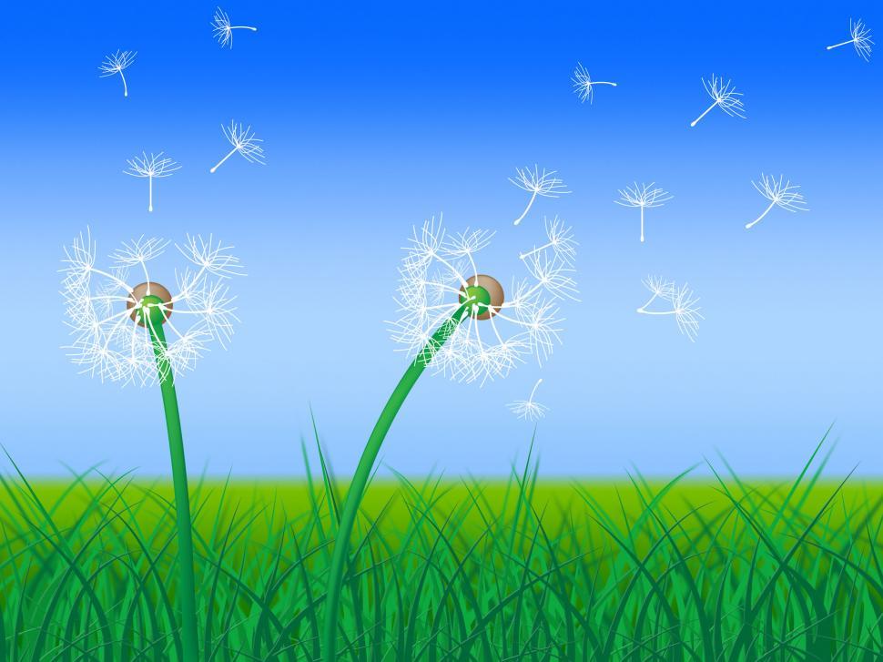 Free Image of Dandelion Sky Shows Green Pasture And Grass 