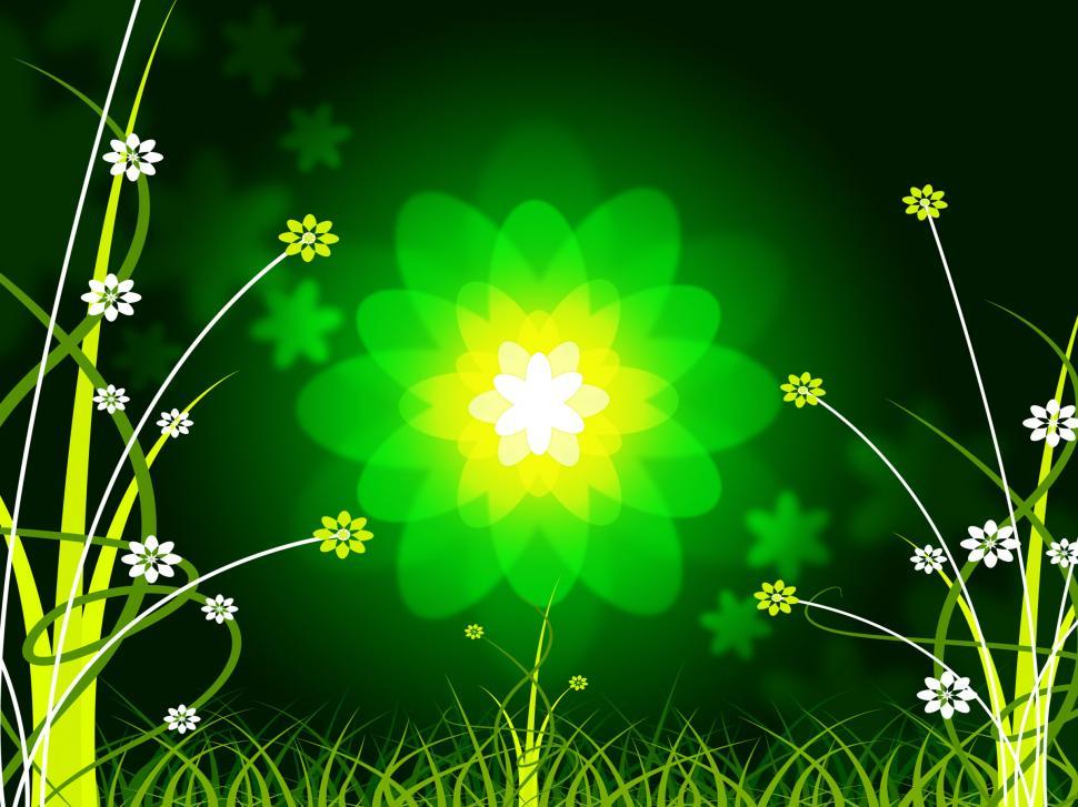 Free Image of Nature Floral Shows Light Burst And Dazzling 