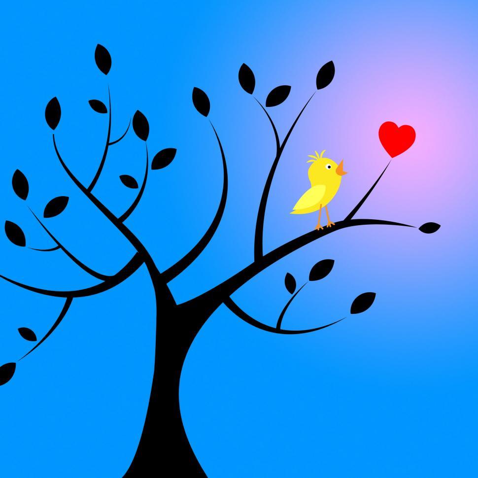 Free Image of Nature Heart Indicates Birds In Flight And Environmental 