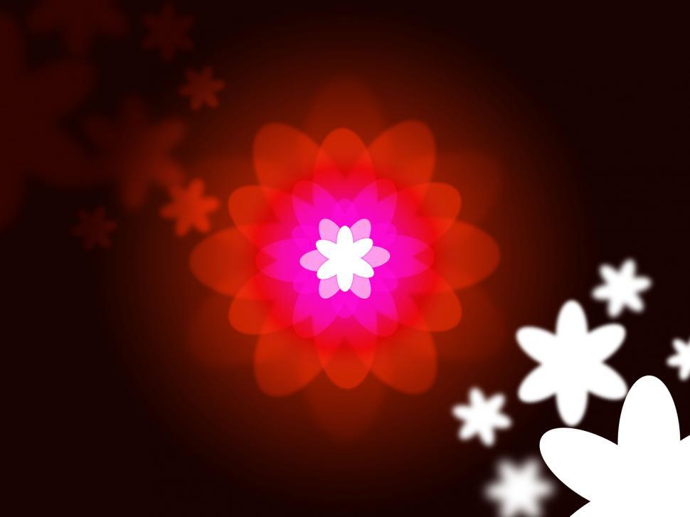 Free Image of Nature Glow Represents Light Burst And Natural 