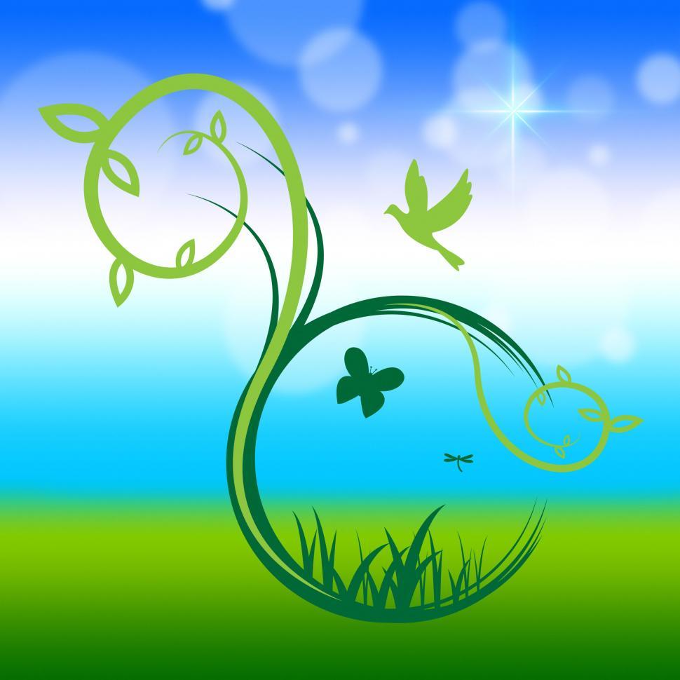 Free Image of Butterflies Birds Shows Outdoors Environmental And Green 