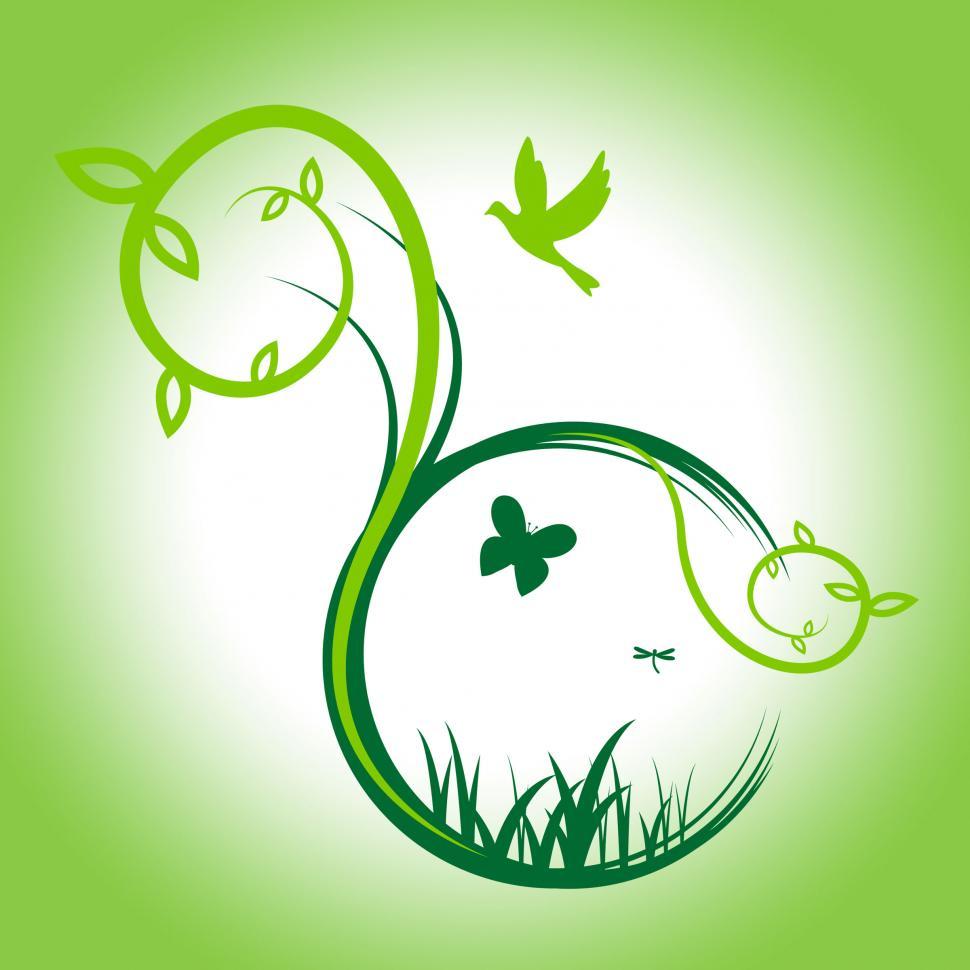 Free Image of Butterflies Nature Means Birds In Flight And Animal 