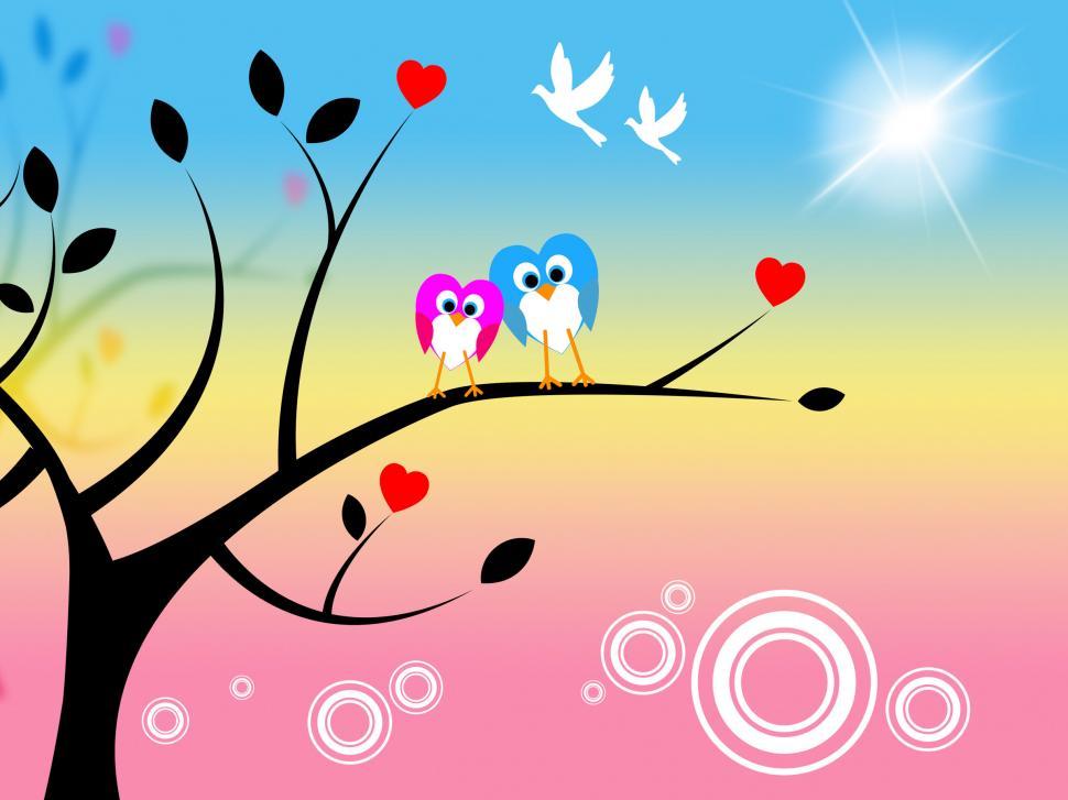 Free Image of Sun Owls Indicates Tree Trunk And Treetop 