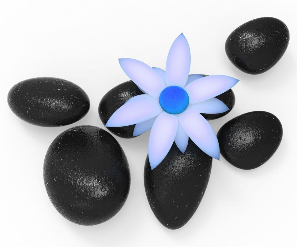 Free Image of Spa Stones Shows Spirituality Meditation And Floral 