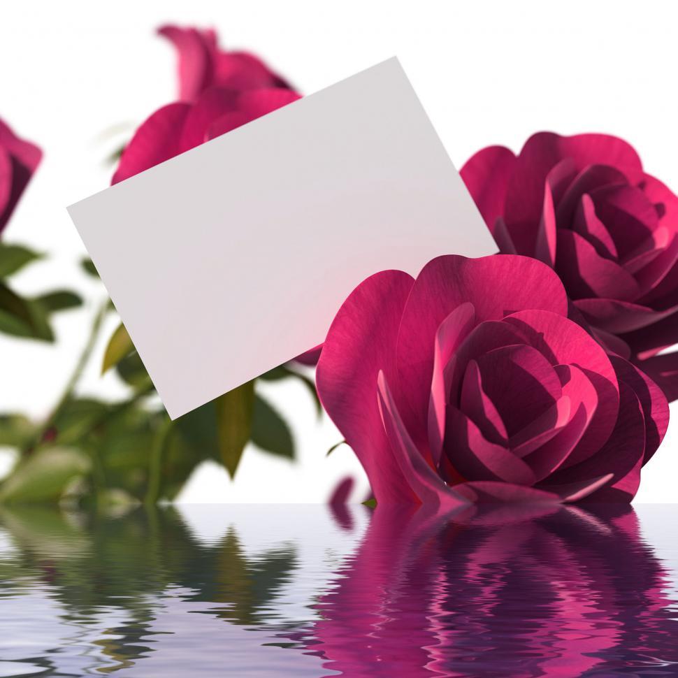 Free Image of Gift Card Means Gift-Card Reflection And Mirror 