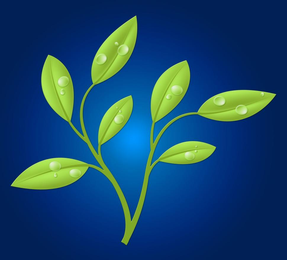 Free Image of Eco Friendly Shows Earth Day And Conservation 