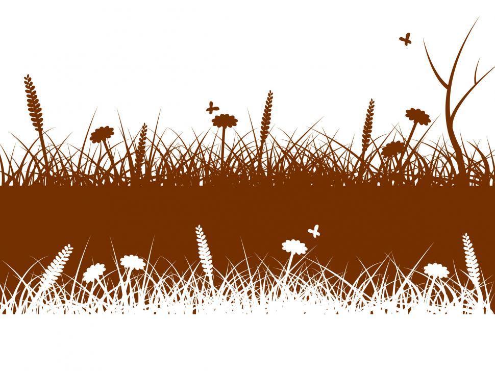 Free Image of Landscape Nature Indicates Green Grass And Environment 