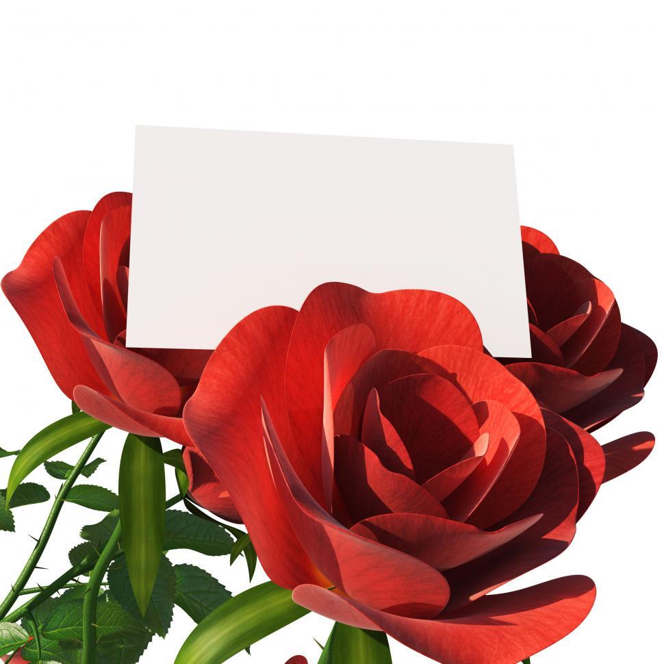 Free Image of Gift Card Means Text Space And Copy-Space 