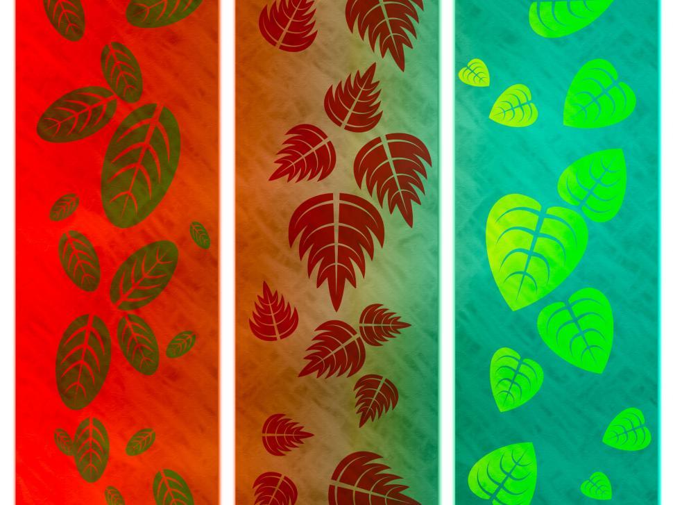 Free Image of Floral Nature Represents Outdoors Template And Bloom 