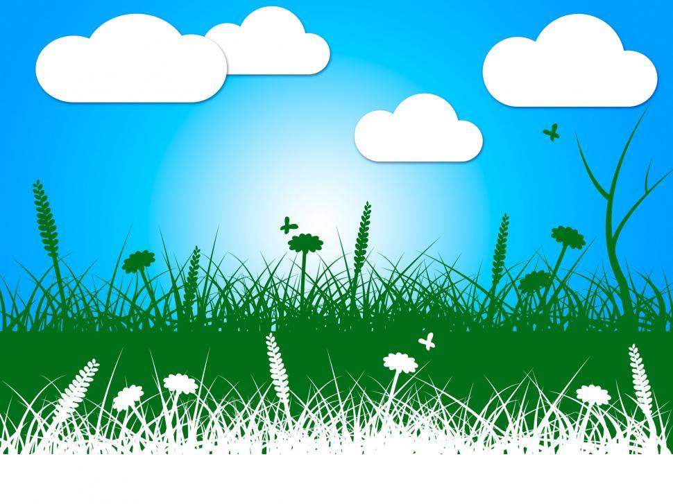 Free Image of Landscape Nature Indicates Green Grass And Clothes-Line 