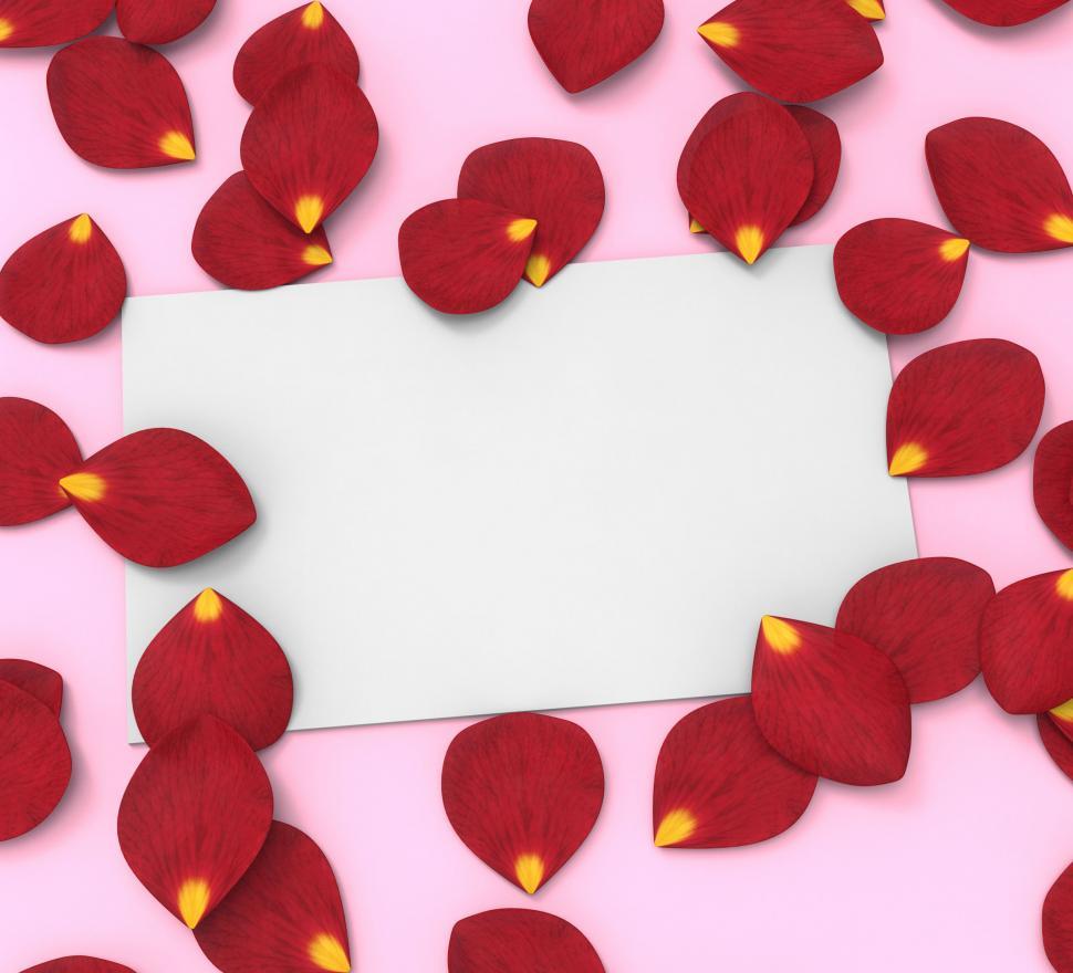 Free Image of Gift Card Represents Text Space And Blank 
