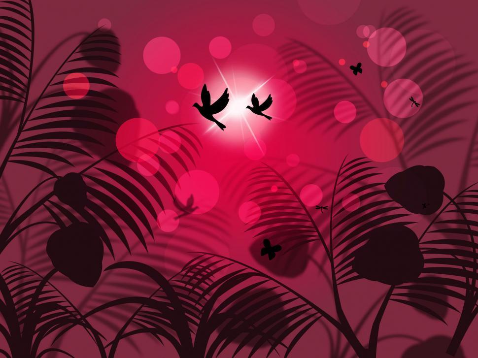 Free Image of Leaves Nature Represents Birds In Flight And Abstract 