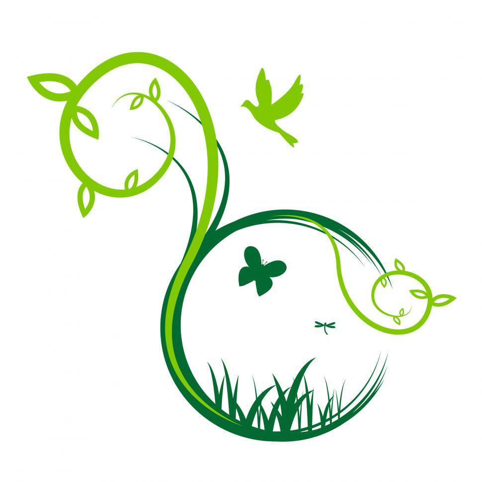 Free Image of Birds Nature Shows Creature Butterfly And Butterflies 