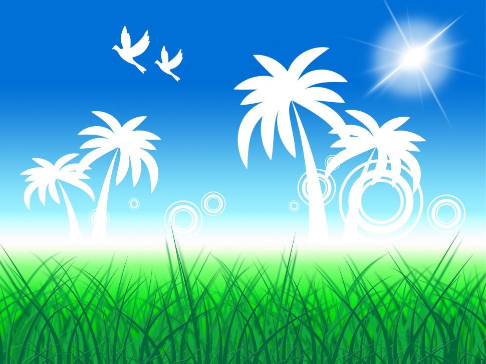 Free Image of Tropical Island Shows Birds In Flight And Beach 