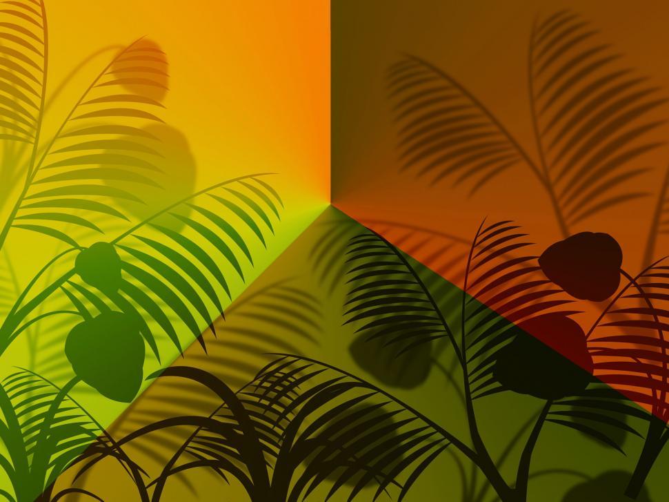Free Image of Leaves Nature Represents Outdoors Environmental And Garden 