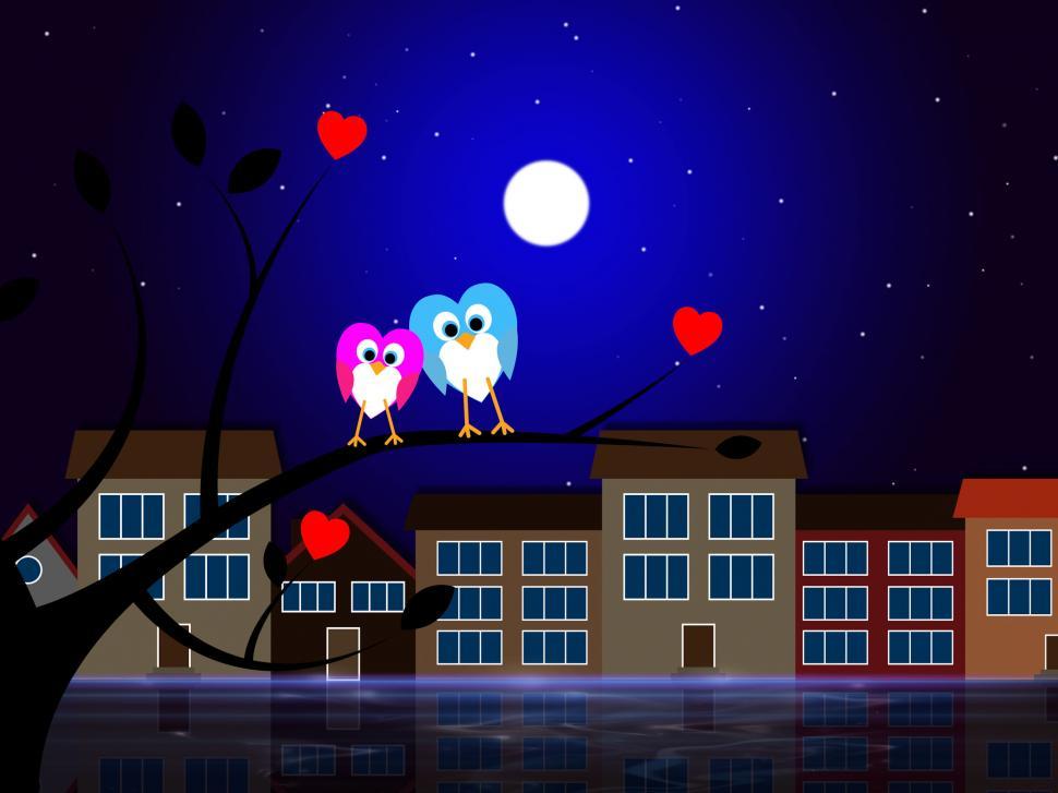 Free Image of Moon Owls Represents Night Time And Apartment 