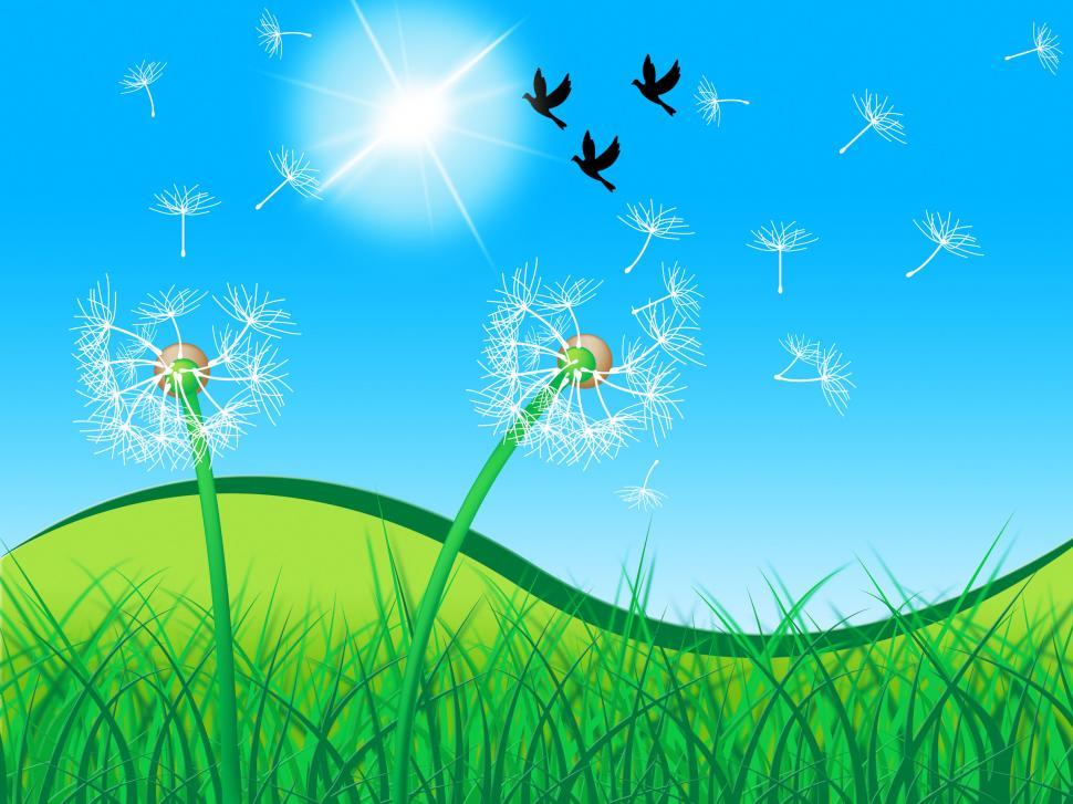 Free Image of Grass Birds Shows Dandelion Seeds And Countryside 