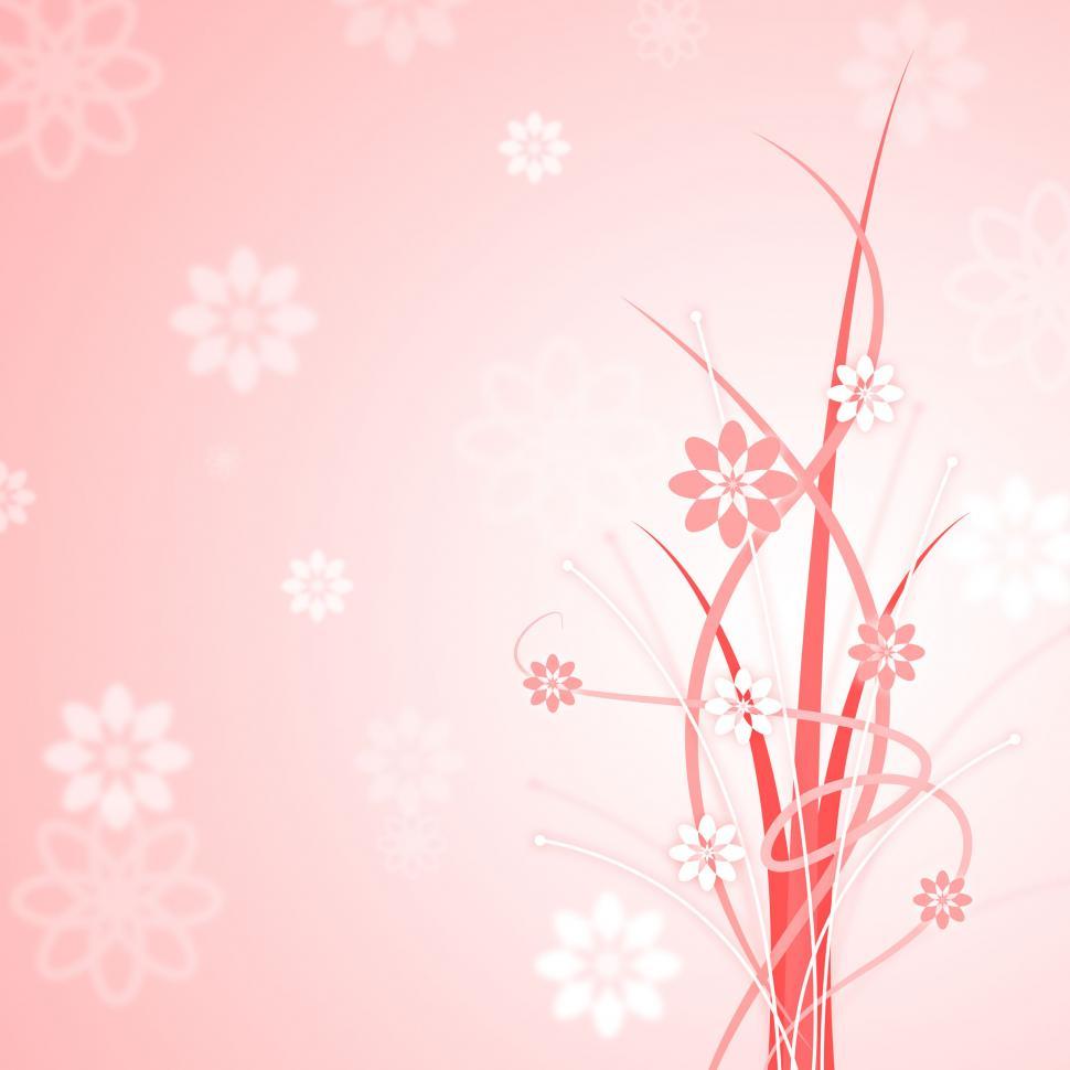 Free Image of Background Floral Indicates Bloom Abstract And Petals 