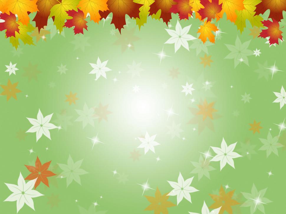 Free Image of Nature Fall Shows Environmental Bloom And Florist 