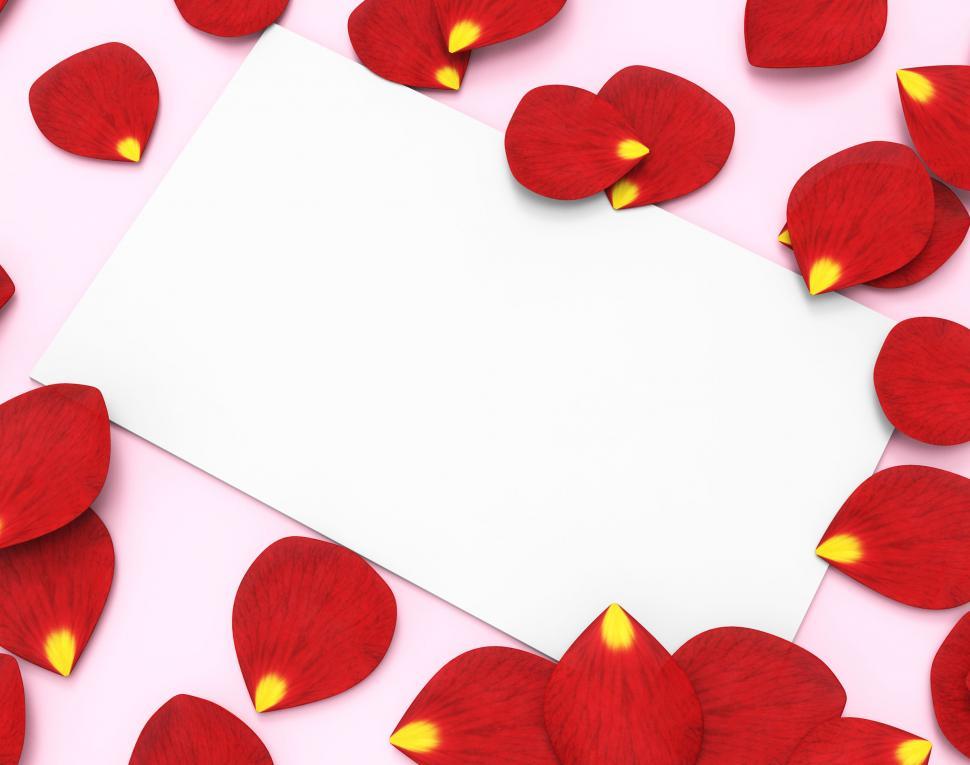 Free Image of Gift Card Means Empty Space And Blank 