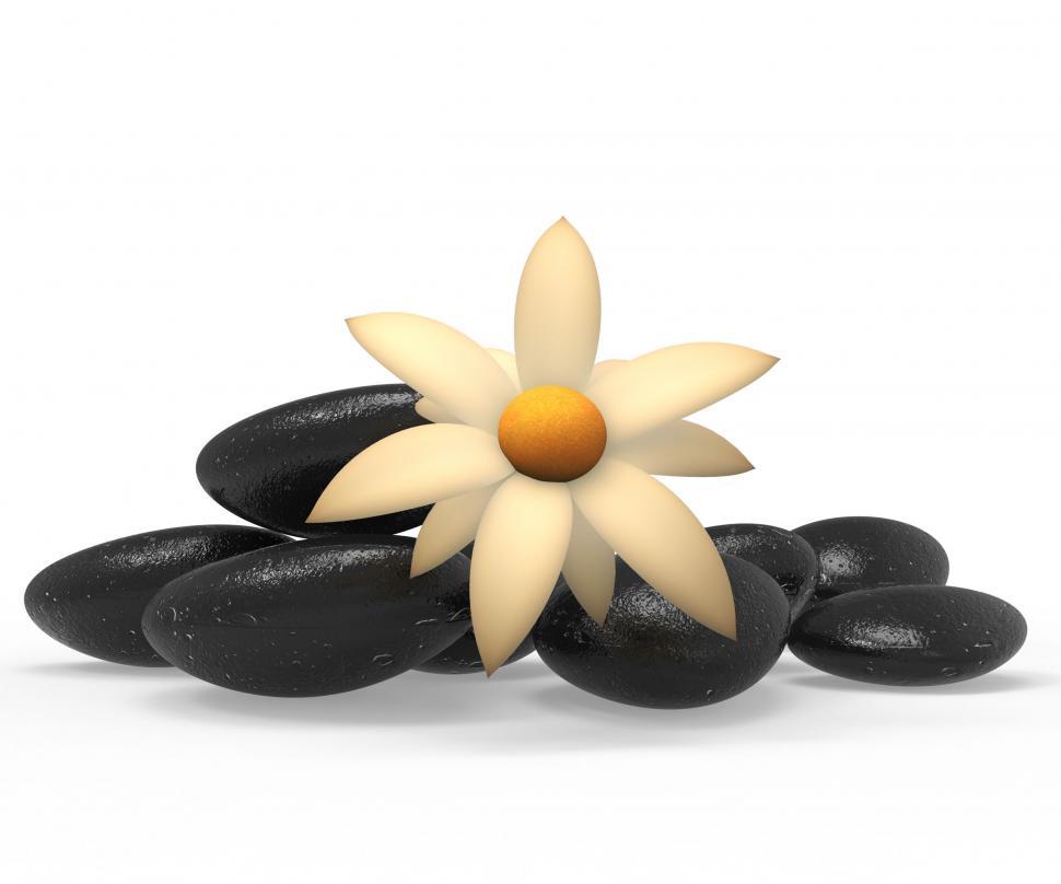 Free Image of Spa Stones Indicates Tranquility Flowers And Flora 