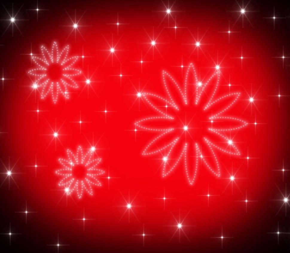 Free Image of Stars Floral Means Florist Blooming And Flowers 
