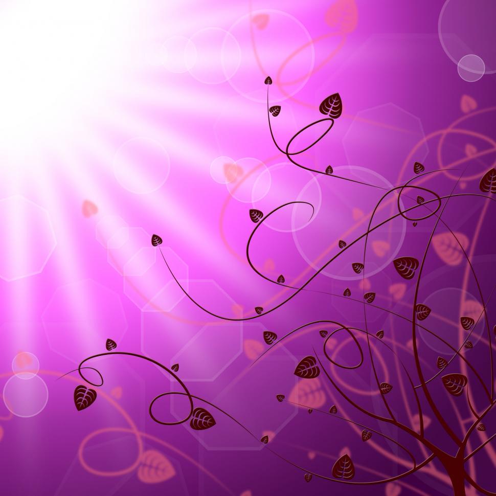 Free Image of Floral Sun Represents Petal Sunny And Sunbeam 