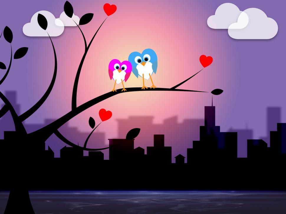 Free Image of Evening City Shows Night Time And Nature 