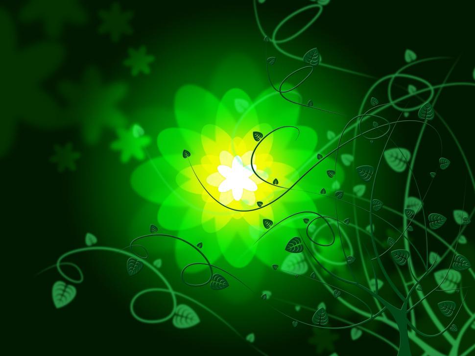 Free Image of Background Glow Represents Light Burst And Flowers 