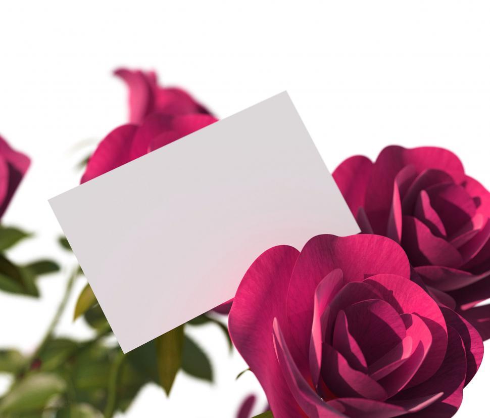 Free Image of Gift Card Means Empty Space And Copy 