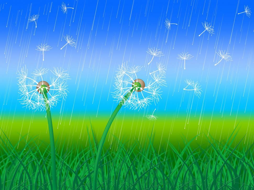 Free Image of Dandelion Grass Shows Sky Flower And Environment 