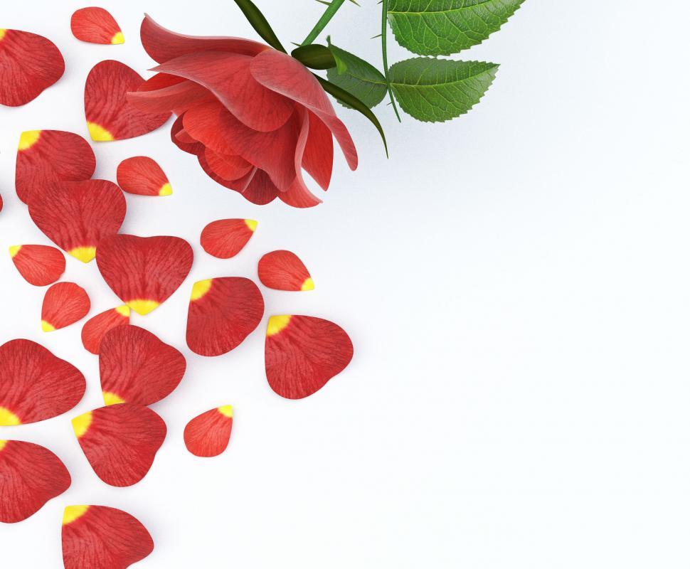 Free Image of Gift Card Indicates Blank Space And Communication 