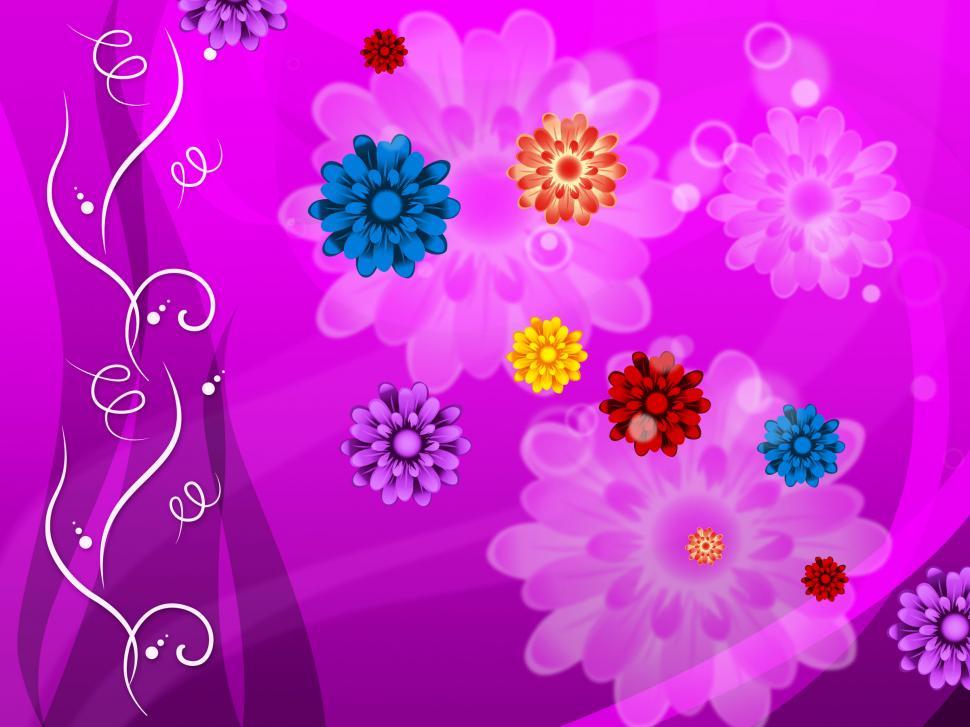 Free Image of Purple Floral Background Means Colorful Flowers And Petals   
