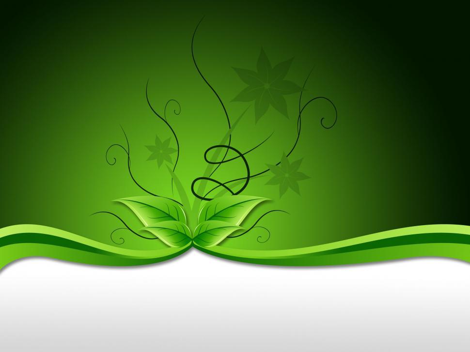 Free Image of Delicate Floral Background Means Elegant Nature Or Garden  