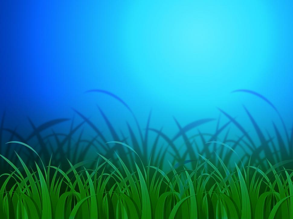 Free Image of Horizon Background Means Clear Lawn And Environment  
