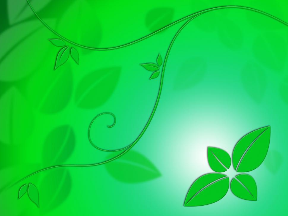 Free Image of Fine Leaves Background Means Seasonal Blossom Or Autumn Wallpape 