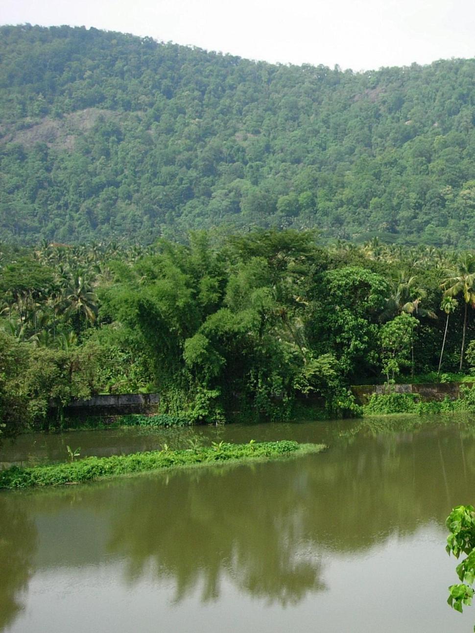 Free Image of Beauty of Nature 