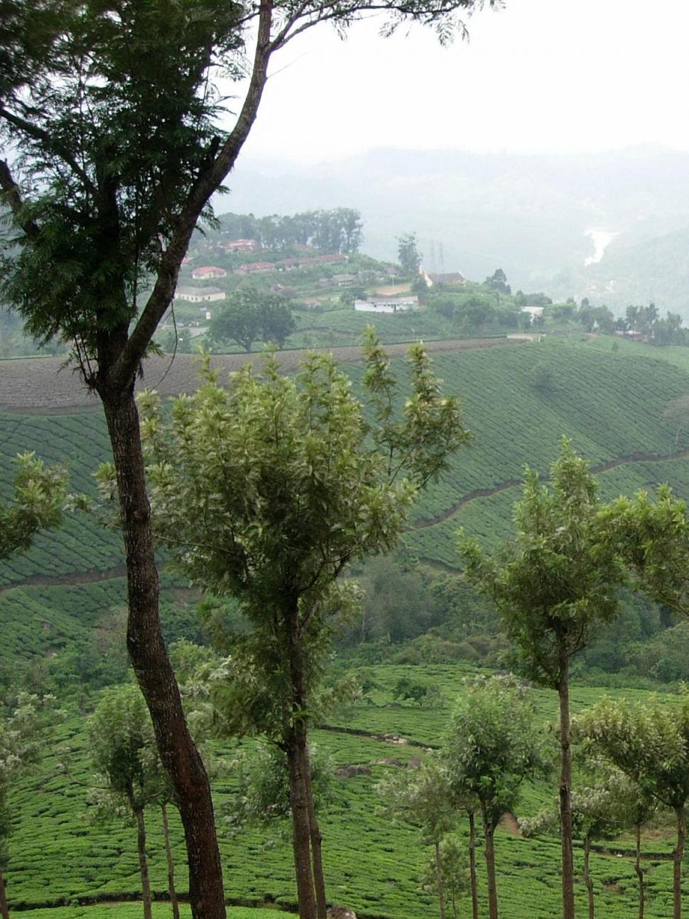 Free Image of Beauty of Nature 
